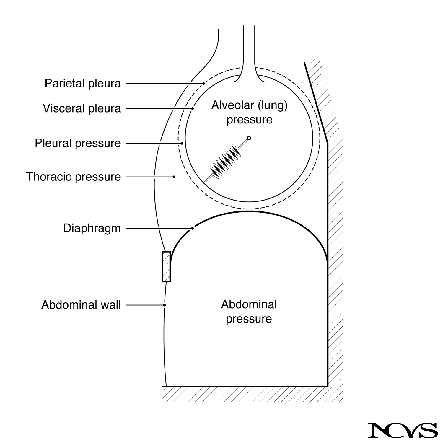 Schematic pressure diagram