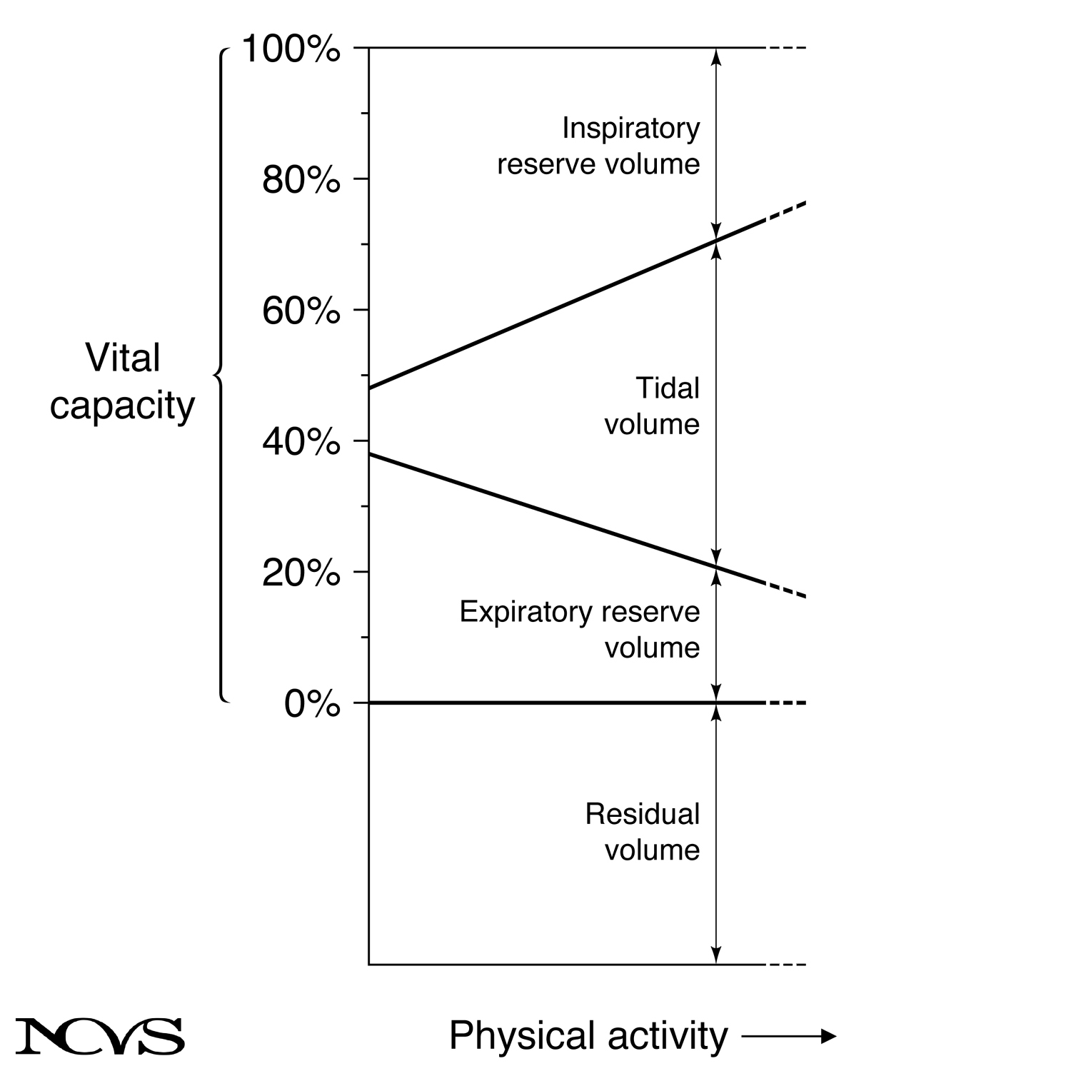 Lung volume diagram