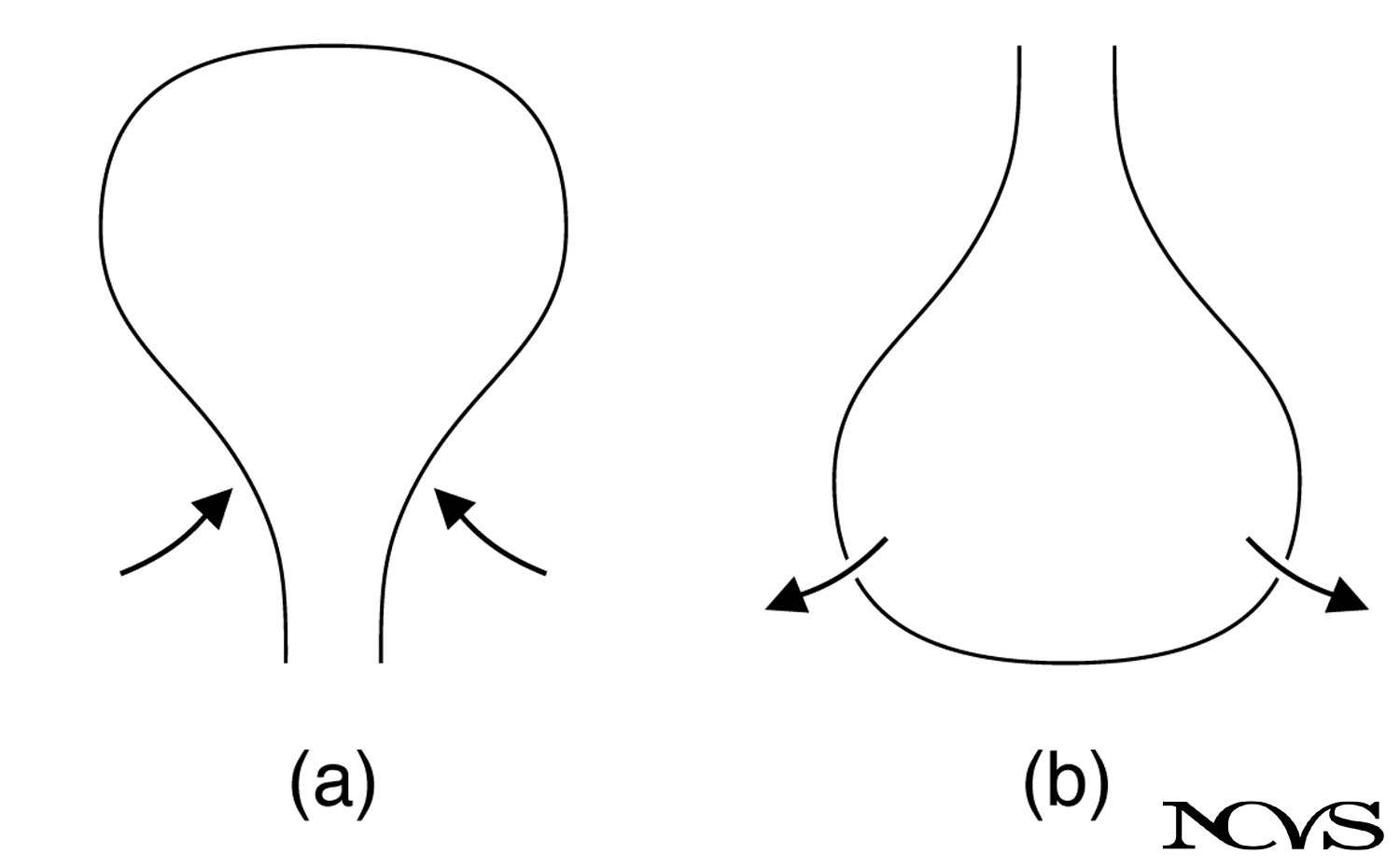 Pear-shape-up support