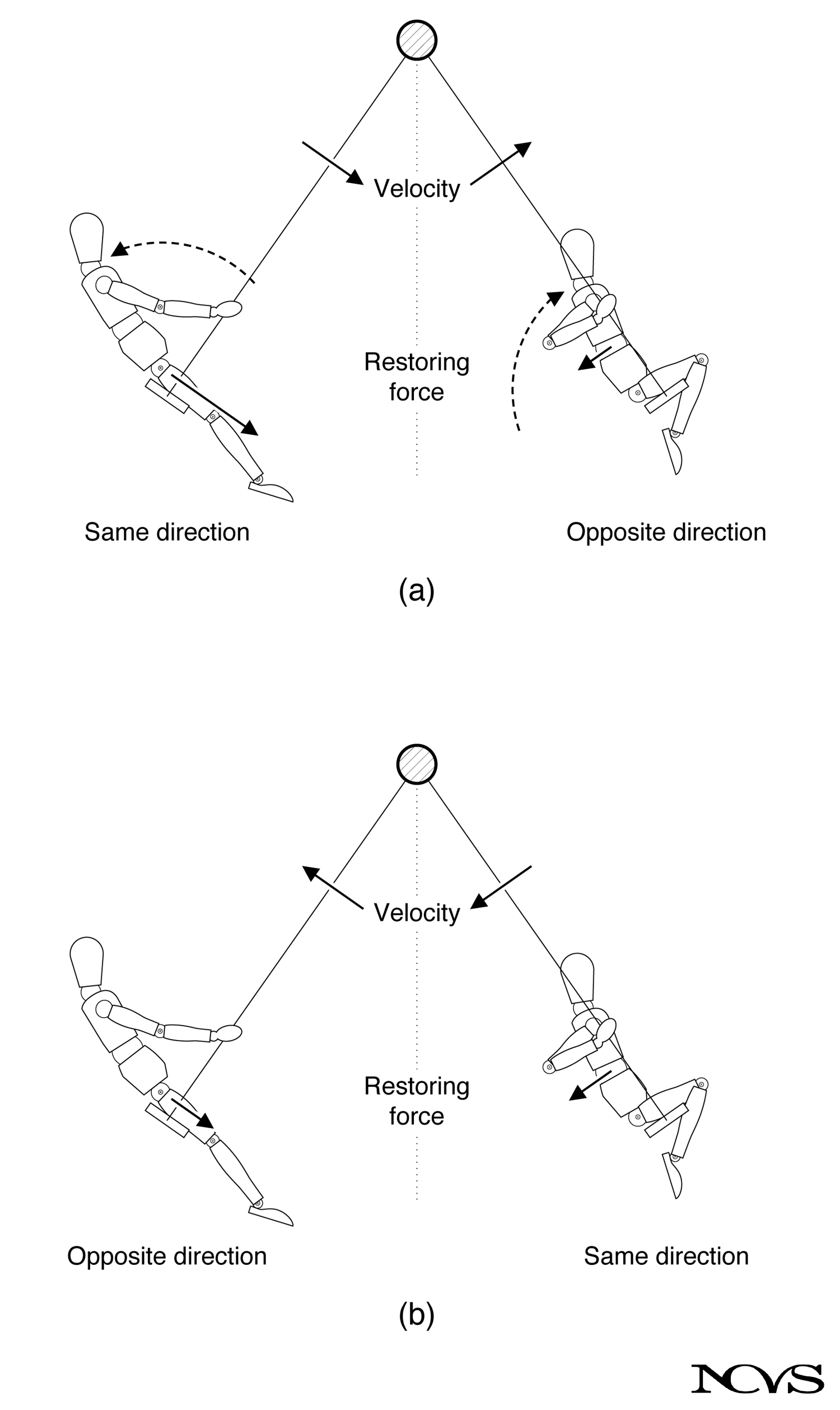 A child on a swing as an oscillator
