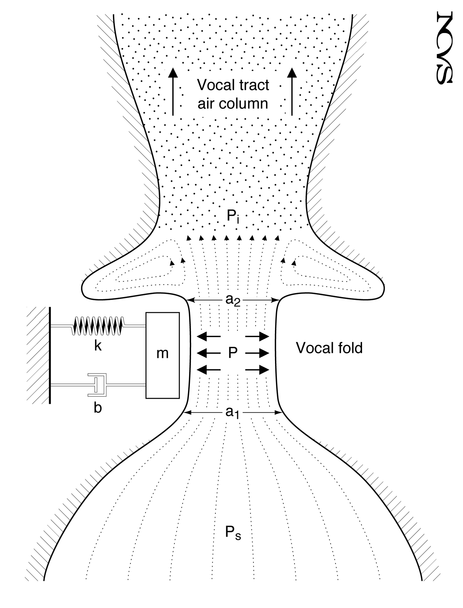 One-mass model of the vocal folds