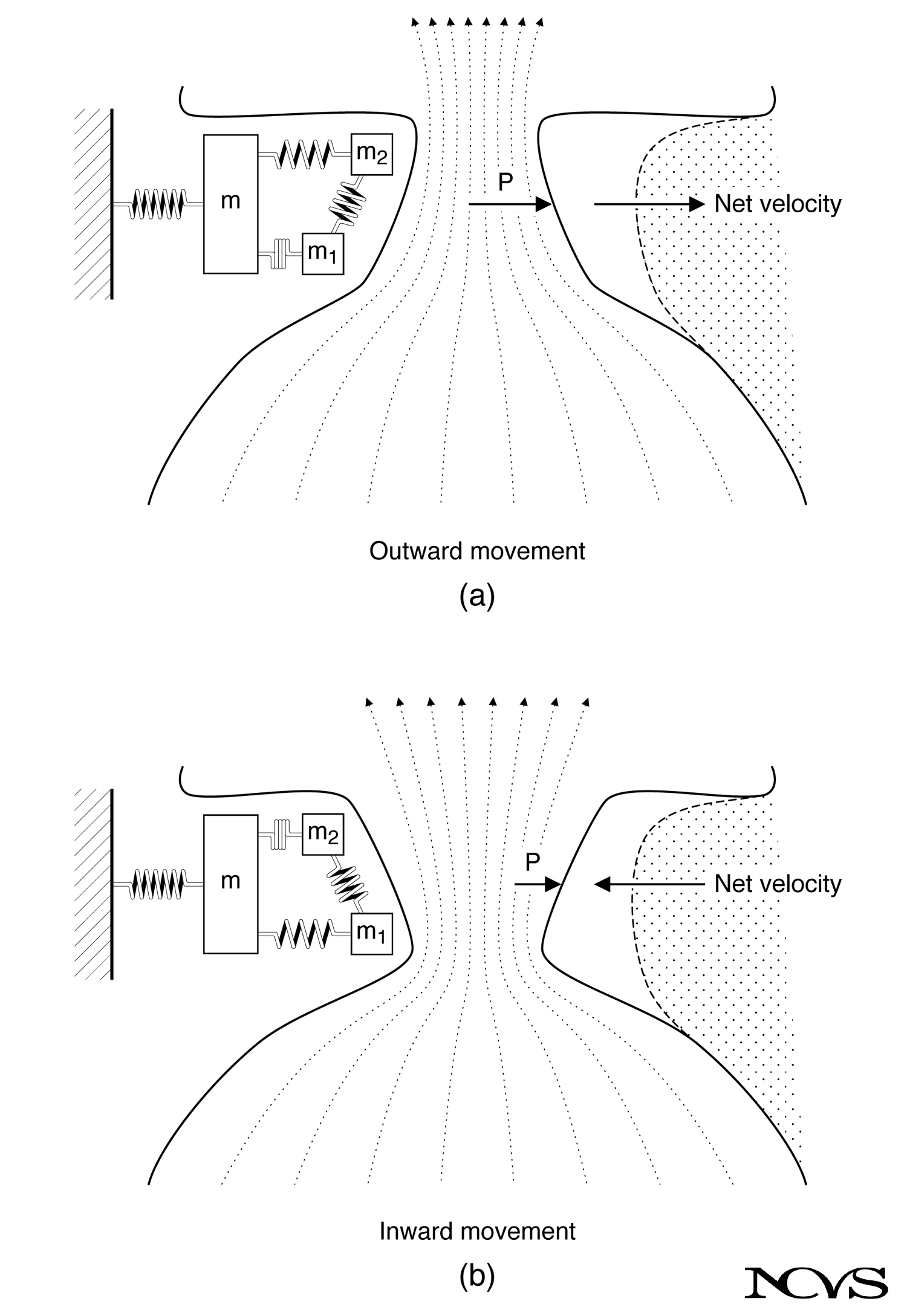 Nonuniform movement creating convergent and divergent glottal shapes