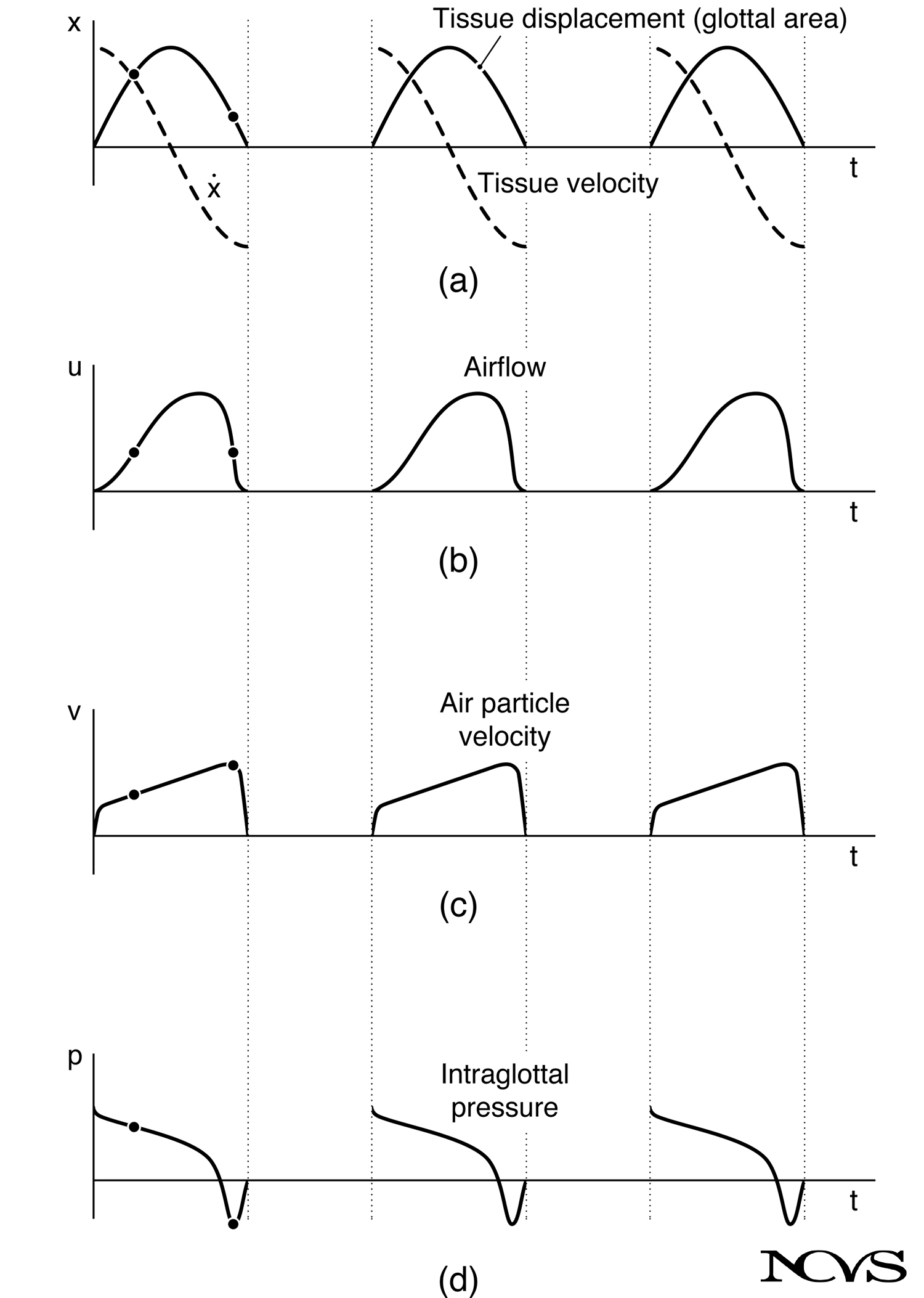 Waveforms during sustained oscillation