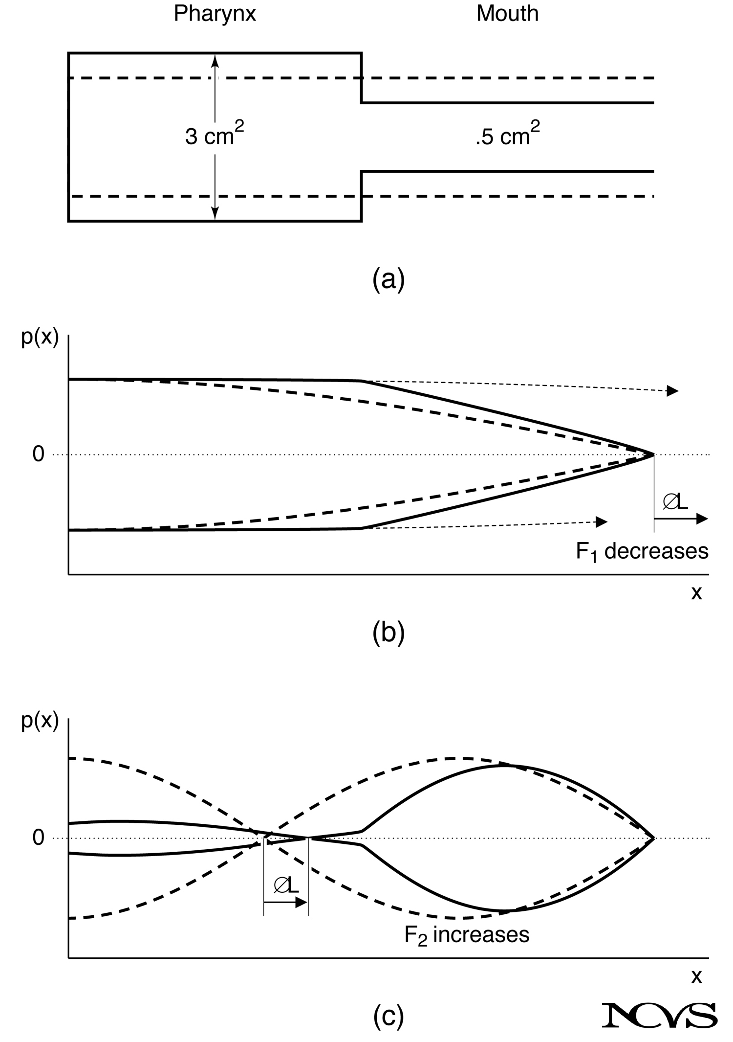 Two-tube model for [i] vowel