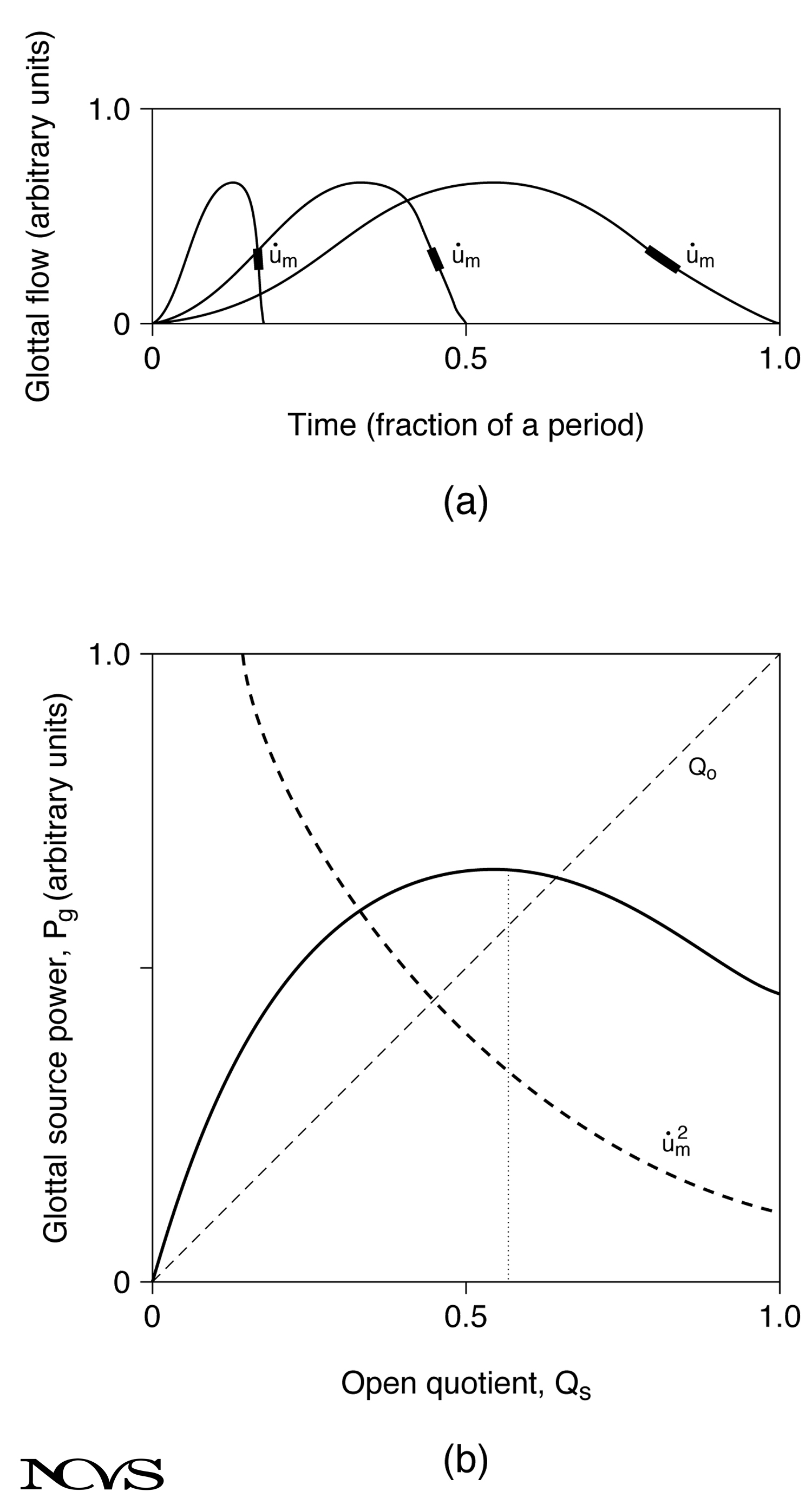 Adduction effects on glottal waveform