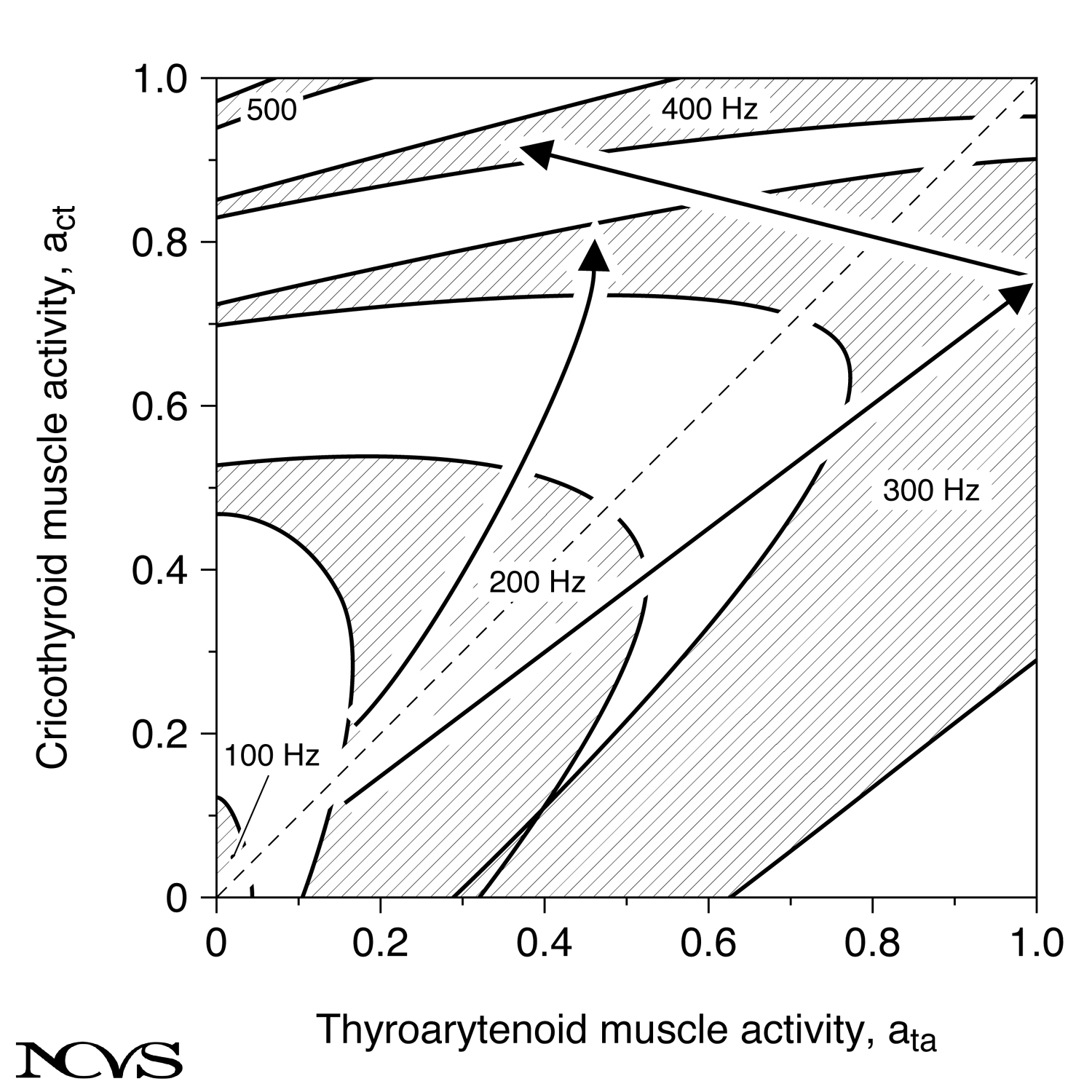 Muscle activation plot